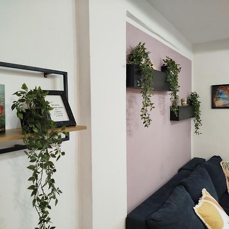 Apartment Jazbina Πούλα Εξωτερικό φωτογραφία