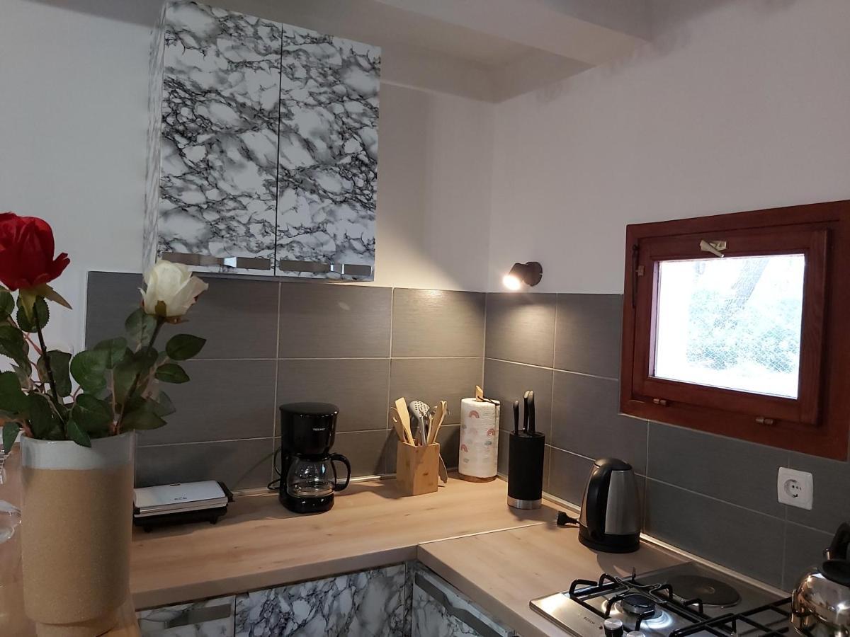 Apartment Jazbina Πούλα Εξωτερικό φωτογραφία